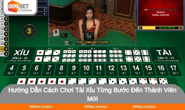 Bật mí cách chơi Tài xỉu cực đơn giản và dễ hiểu cho newbie