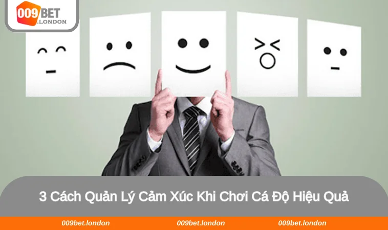 Bật mí 3 cách quản lý cảm xúc khi chơi cá độ hiệu quả nhất