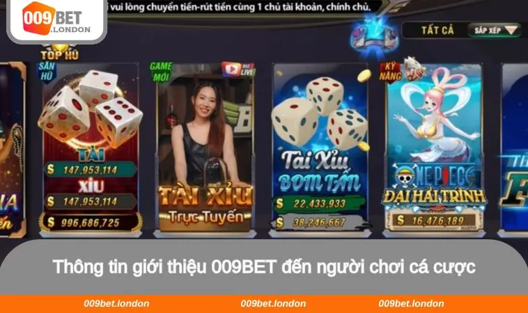 Thông tin giới thiệu 009BET đến người chơi cá cược