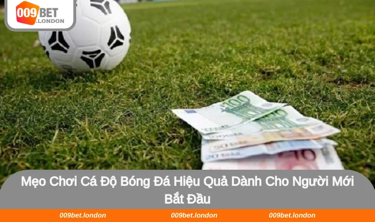 Mẹo Chơi cá Độ Bóng Đá