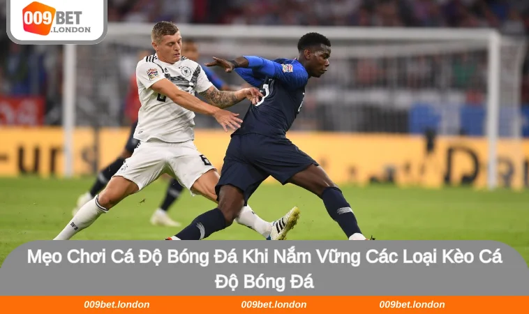 Hội viên cần nắm vững các loại kèo bóng để tham gia cá cược hiệu quả hơn