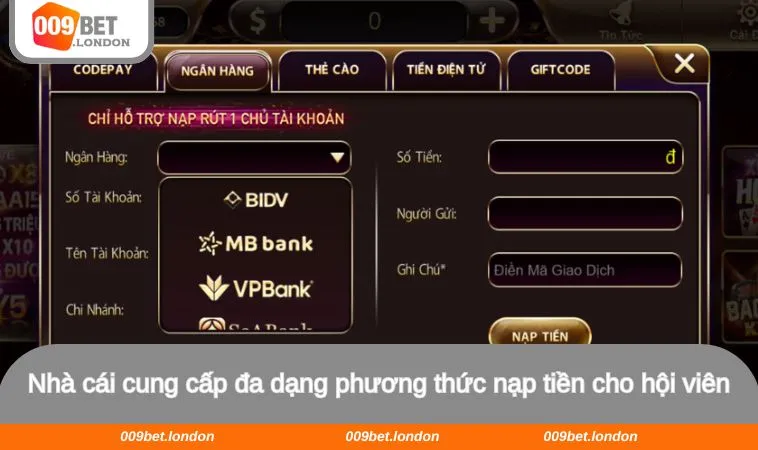 Nhà cái cung cấp đa dạng phương thức nạp tiền cho hội viên